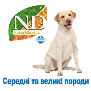 Великі та середні породи
