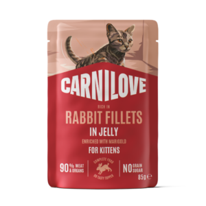 Головна Pouch Front Kitten Rabbit Jelly
