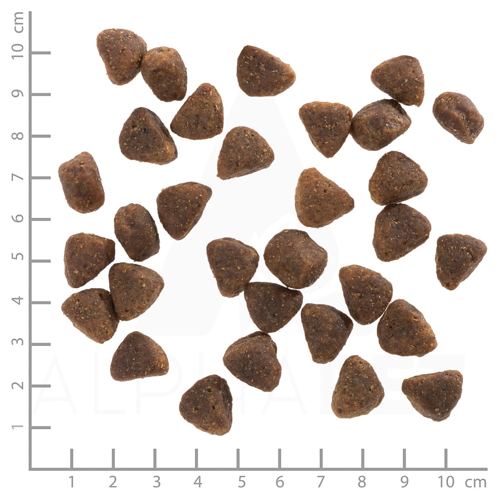 Sucha-karma-dla-psa-Wolfsblut-Dog-Hunters-Pride---bazant-i-kaczka-12,5kg Wolfsblut (Вольфсблут) Hunters Pride Adult 12,5 кг – сухий корм з птицею та дичиною для дорослих собак всіх порід Sucha karma dla psa Wolfsblut Dog Hunters Pride bazant i kaczka 125kg