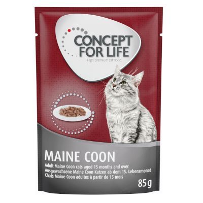 concept_fr_mainecoon Concept for Life Maine Coon Adult для котів породи мейн кун в паучах 48х85г concept fr mainecoon