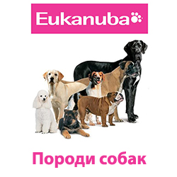 Eukanuba-конкретні породи собак