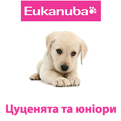 Eukanuba-цуценята та юніори