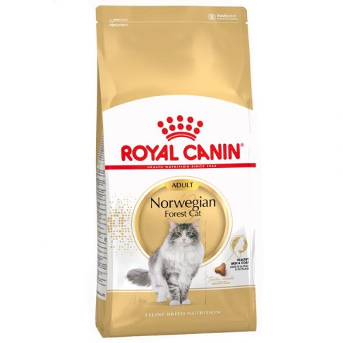 la_pla_royalcanin_adult_nor_7 ROYAL CANIN Norwegian Forest Cat la pla royalcanin adult nor 7 e1527003491868