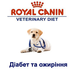 Royal Canin-Діабет та ожиріння